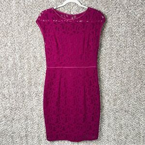 Adrianna Papell Dress Women’s 6 Lace Magenta Purple Short Sleeve Sheath